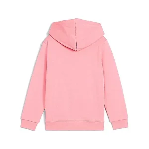 ESS NO. 1 LOGO HOODIE FL PS Sweatshirt à capuche garçon PUMA